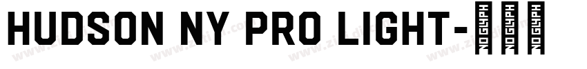 Hudson NY Pro Light字体转换